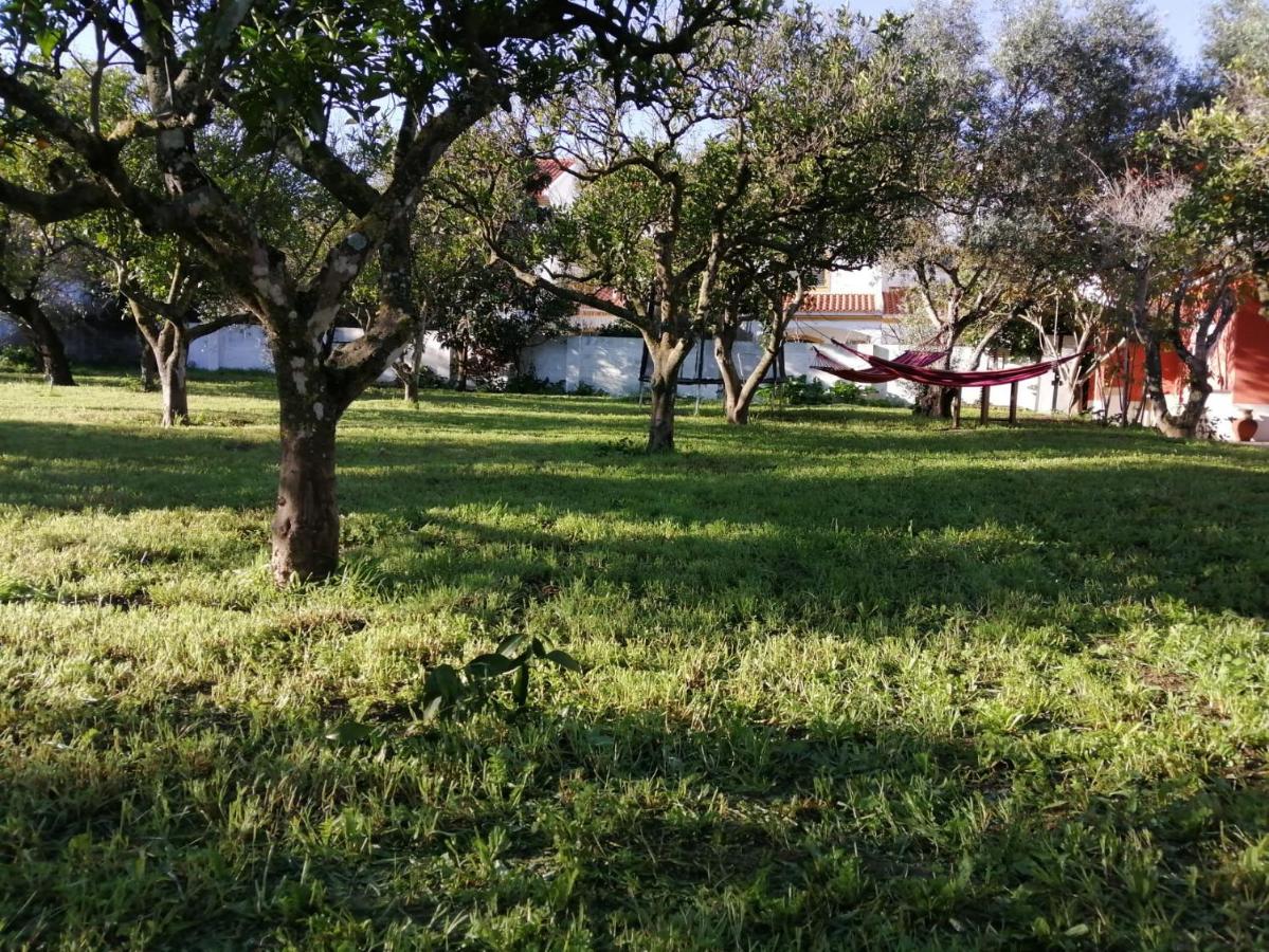 Casa Das Laranjeiras E Parque Infantil Азейтан Экстерьер фото